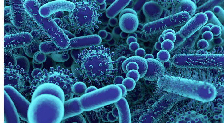 Controlling gut microbiota might help reduce elevated blood pressure.